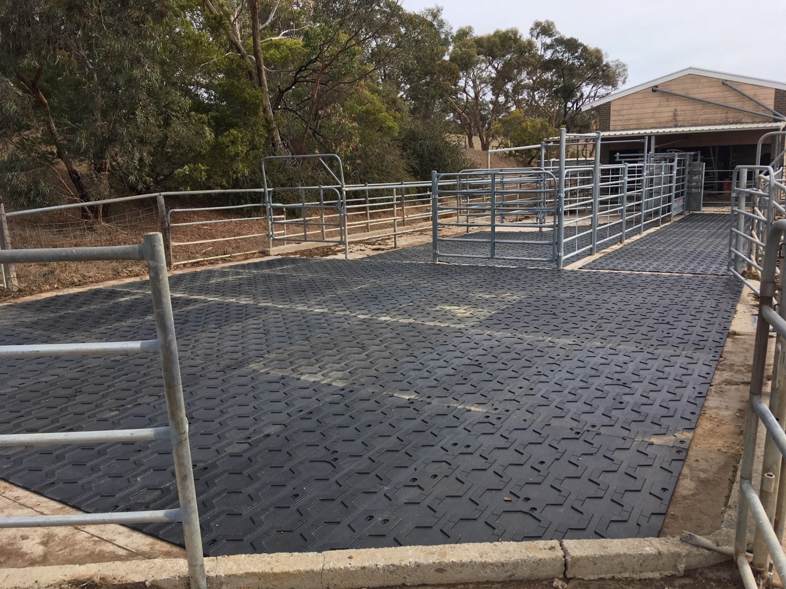 Innovact Consulting Rubber Matting For Sale Suitable For Cattle