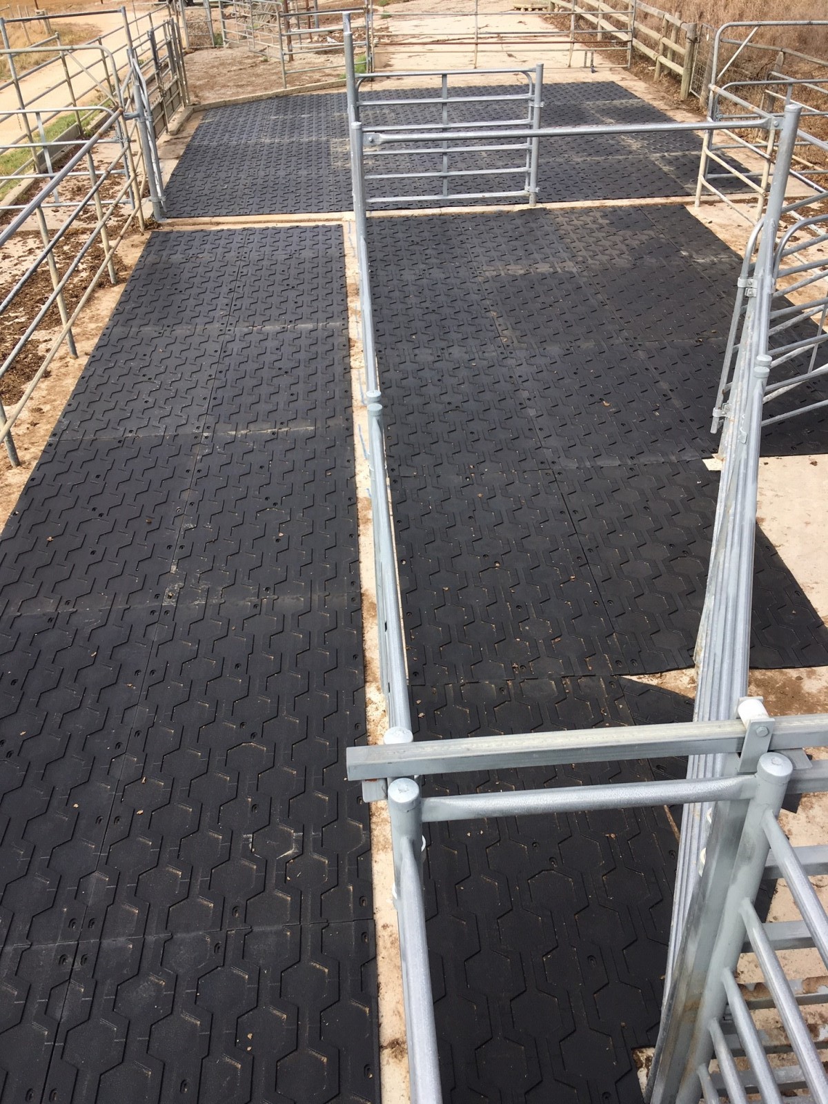 Innovact Consulting Rubber Matting For Sale Suitable For Cattle